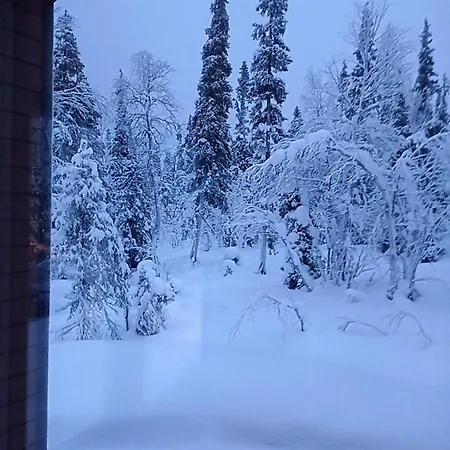 Olos Koti *