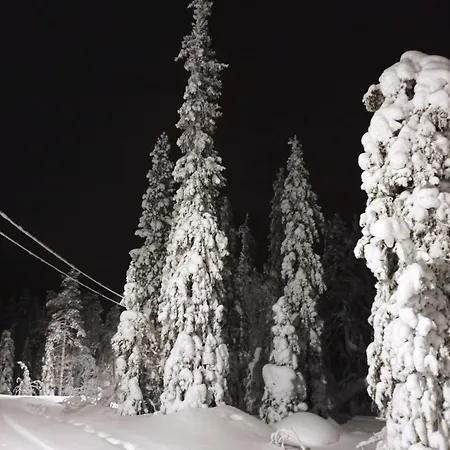 בית נופש Olos Koti מואוניו