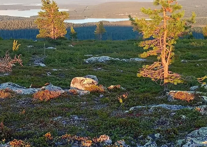 Olos Koti בית נופש *